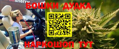 молекула духа Кинель