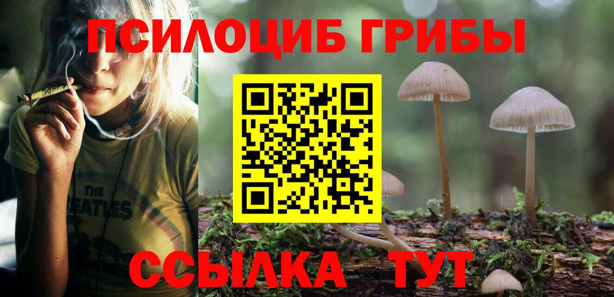 Псилоцибиновые грибы ЛСД  продажа наркотиков  Изобильный  Вход с VPN  Галлюциногенные грибы ЛСД 